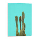 Cactus Turquesa - Lola Peacock | Cuadro decorativo de Canvas Lab