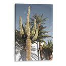 Cactus Las Vegas - Fluidys Studio III | Cuadro decorativo de Canvas Lab