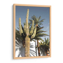 Cactus Las Vegas - Fluidys Studio III | Cuadro decorativo de Canvas Lab