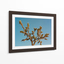 Joshua Tree Luna III - Bethany Young | Cuadro decorativo de Canvas Lab