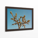 Joshua Tree Luna III - Bethany Young | Cuadro decorativo de Canvas Lab