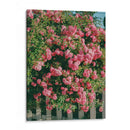 Flores de Cannon Beach - Bethany Young | Cuadro decorativo de Canvas Lab