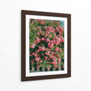 Flores de Cannon Beach - Bethany Young | Cuadro decorativo de Canvas Lab