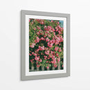 Flores de Cannon Beach - Bethany Young | Cuadro decorativo de Canvas Lab