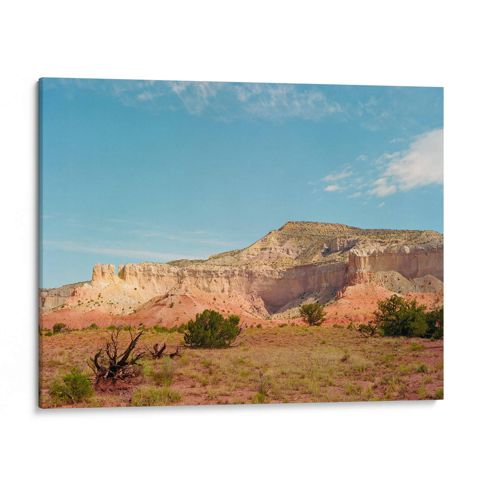 Rancho Fantasma IX - Bethany Young | Cuadro decorativo de Canvas Lab