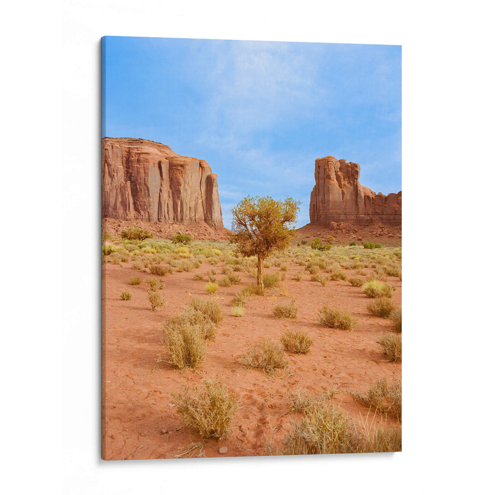 Valle de los monumentos X - Bethany Young | Cuadro decorativo de Canvas Lab