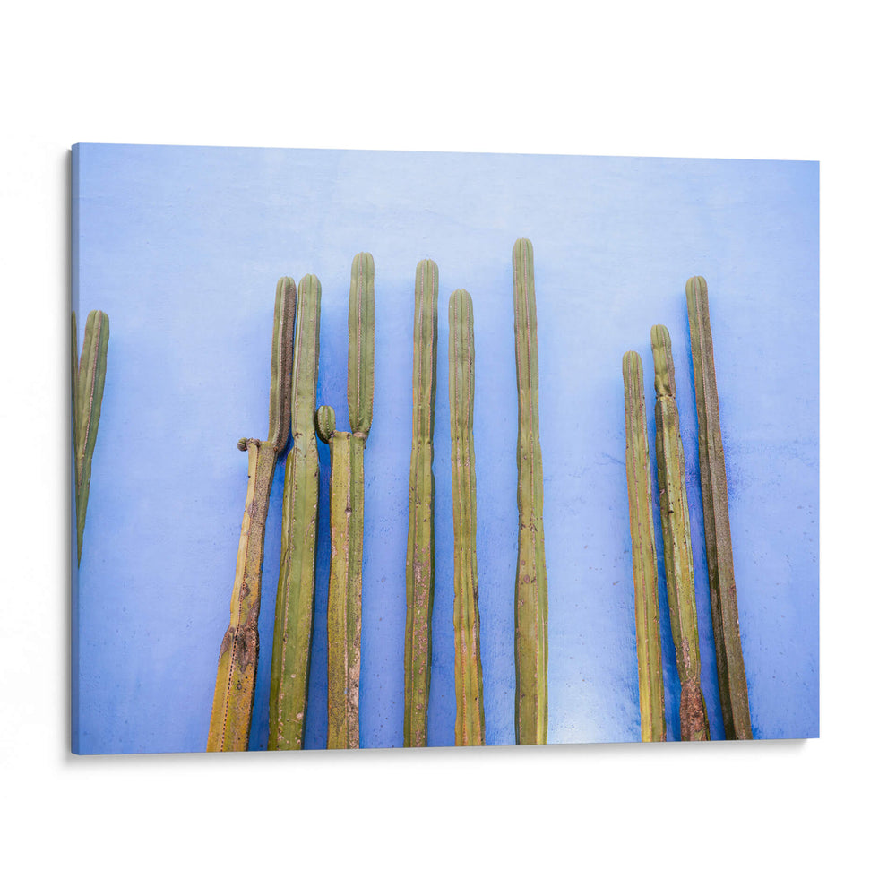 Cactus altos en azul | Viajes a Oaxaca México - Raisa Zwart | Cuadro decorativo de Canvas Lab