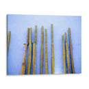 Cactus altos en azul | Viajes a Oaxaca México - Raisa Zwart | Cuadro decorativo de Canvas Lab