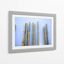Cactus altos en azul | Viajes a Oaxaca México - Raisa Zwart | Cuadro decorativo de Canvas Lab