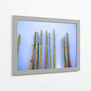Cactus altos en azul | Viajes a Oaxaca México - Raisa Zwart | Cuadro decorativo de Canvas Lab