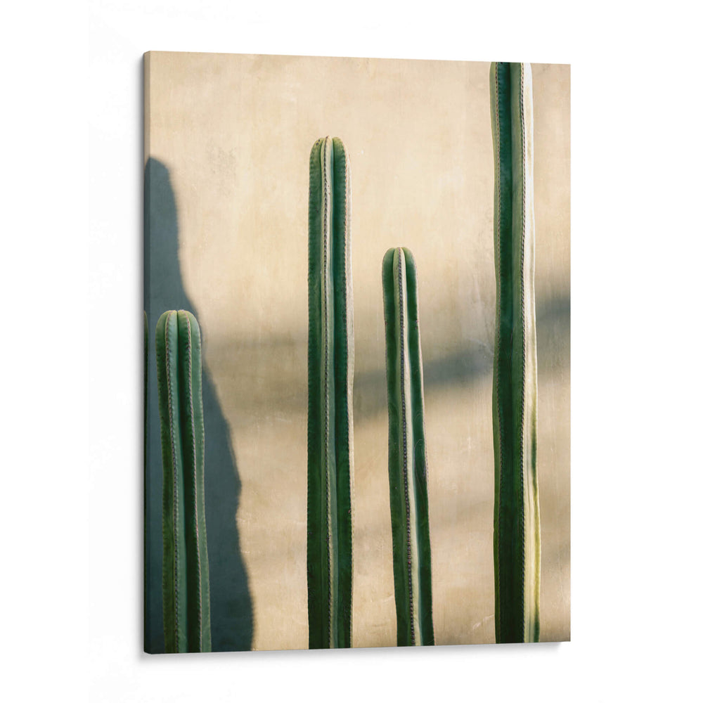 Oaxaca Tonos de Verde | Fotografía de viaje de México - Raisa Zwart | Cuadro decorativo de Canvas Lab