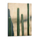 Oaxaca Tonos de Verde | Fotografía de viaje de México - Raisa Zwart | Cuadro decorativo de Canvas Lab