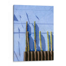 Cactus Altos | Fotografía de viaje de Oaxaca México - Raisa Zwart | Cuadro decorativo de Canvas Lab