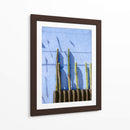 Cactus Altos | Fotografía de viaje de Oaxaca México - Raisa Zwart | Cuadro decorativo de Canvas Lab