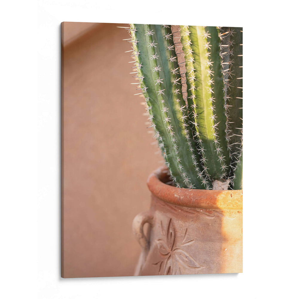 Verde Sobre Naranja | Fotografía de Viaje de Marrakech - Raisa Zwart | Cuadro decorativo de Canvas Lab