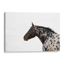 Andrómeda 4 - Crystal Lynn Collins | Cuadro decorativo de Canvas Lab