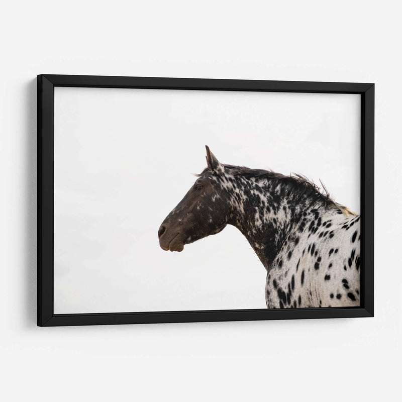 Cuadro decorativo de Canvas Lab