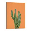 Cactus Naranja - Lola Peacock | Cuadro decorativo de Canvas Lab