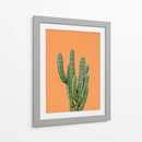Cactus Naranja - Lola Peacock | Cuadro decorativo de Canvas Lab
