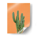 Cactus Naranja - Lola Peacock | Cuadro decorativo de Canvas Lab