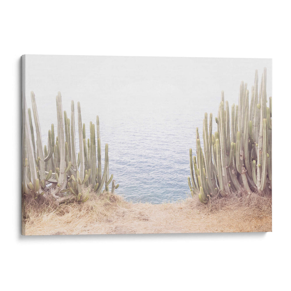 Cactus del Océano - Kathrin Pienaar | Cuadro decorativo de Canvas Lab
