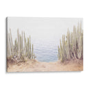 Cactus del Océano - Kathrin Pienaar | Cuadro decorativo de Canvas Lab