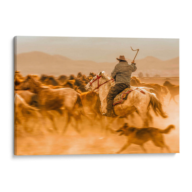 Caballos salvajes - Mustafa ozturk | Cuadro decorativo de Canvas Lab