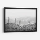 Cactus Occidental - Kathrin Pienaar | Cuadro decorativo de Canvas Lab