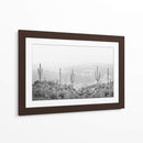 Cactus Occidental - Kathrin Pienaar | Cuadro decorativo de Canvas Lab