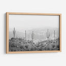 Cactus Occidental - Kathrin Pienaar | Cuadro decorativo de Canvas Lab