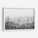 Cactus Occidental - Kathrin Pienaar | Cuadro decorativo de Canvas Lab