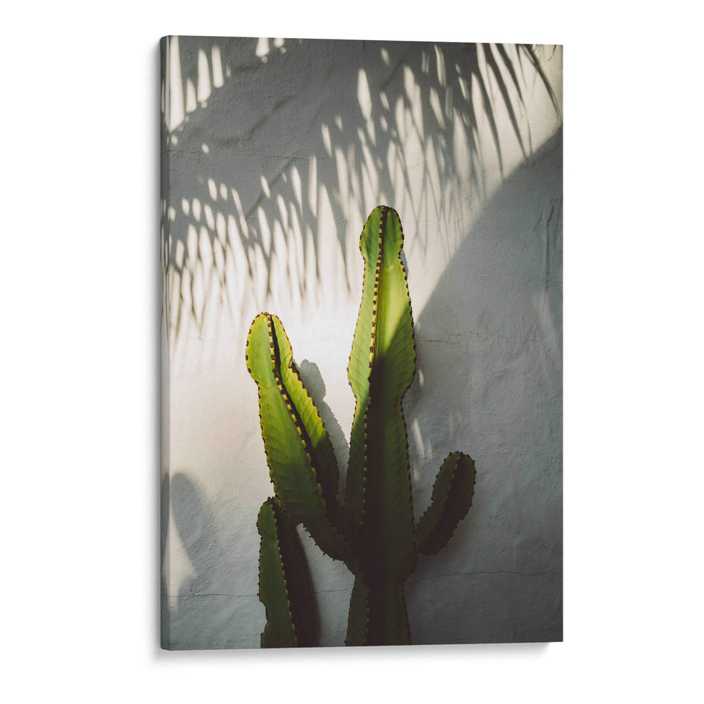 Sombras de Socal - Bethany Young | Cuadro decorativo de Canvas Lab