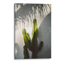 Sombras de Socal - Bethany Young | Cuadro decorativo de Canvas Lab