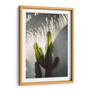 Sombras de Socal - Bethany Young | Cuadro decorativo de Canvas Lab