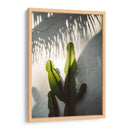 Sombras de Socal - Bethany Young | Cuadro decorativo de Canvas Lab