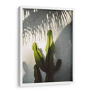 Sombras de Socal - Bethany Young | Cuadro decorativo de Canvas Lab