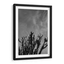 Cielo Monocromático con Cactus - Bethany Young | Cuadro decorativo de Canvas Lab