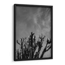 Cielo Monocromático con Cactus - Bethany Young | Cuadro decorativo de Canvas Lab