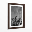 Cielo Monocromático con Cactus - Bethany Young | Cuadro decorativo de Canvas Lab