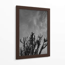 Cielo Monocromático con Cactus - Bethany Young | Cuadro decorativo de Canvas Lab