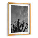 Cielo Monocromático con Cactus - Bethany Young | Cuadro decorativo de Canvas Lab