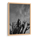 Cielo Monocromático con Cactus - Bethany Young | Cuadro decorativo de Canvas Lab