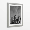 Cielo Monocromático con Cactus - Bethany Young | Cuadro decorativo de Canvas Lab