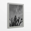Cielo Monocromático con Cactus - Bethany Young | Cuadro decorativo de Canvas Lab