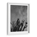 Cielo Monocromático con Cactus - Bethany Young | Cuadro decorativo de Canvas Lab