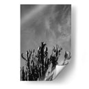 Cielo Monocromático con Cactus - Bethany Young | Cuadro decorativo de Canvas Lab