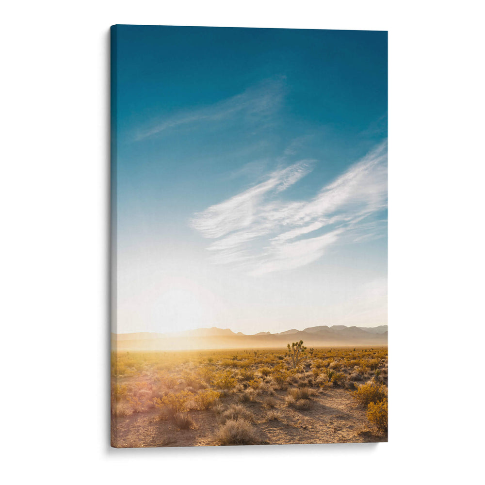 Amanecer en el desierto de Nevada - Bethany Young | Cuadro decorativo de Canvas Lab