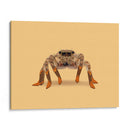 Lydia, la araña vaquera con las piernas más largas - Anyone Can Yeehaw | Cuadro decorativo de Canvas Lab