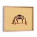 Lydia, la araña vaquera con las piernas más largas - Anyone Can Yeehaw | Cuadro decorativo de Canvas Lab