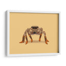 Lydia, la araña vaquera con las piernas más largas - Anyone Can Yeehaw | Cuadro decorativo de Canvas Lab